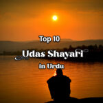 Top 10 Udas Shayari in Urdu